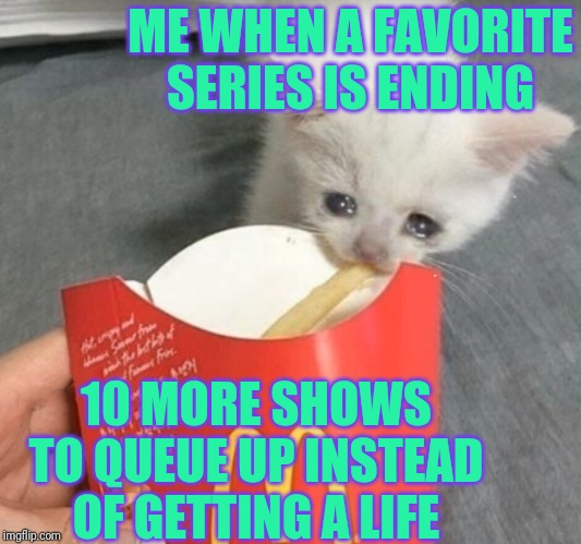 The Game of No Life | ME WHEN A FAVORITE SERIES IS ENDING; 10 MORE SHOWS TO QUEUE UP INSTEAD OF GETTING A LIFE | image tagged in sad kitten eats fries,entertainment,fandom | made w/ Imgflip meme maker