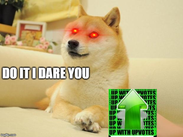 Doge 2 | DO IT I DARE YOU | image tagged in memes,doge 2 | made w/ Imgflip meme maker