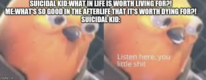 Listen here you little shit bird | SUICIDAL KID:WHAT IN LIFE IS WORTH LIVING FOR?!
ME:WHAT'S SO GOOD IN THE AFTERLIFE THAT IT'S WORTH DYING FOR?!
SUICIDAL KID: | image tagged in listen here you little shit bird | made w/ Imgflip meme maker