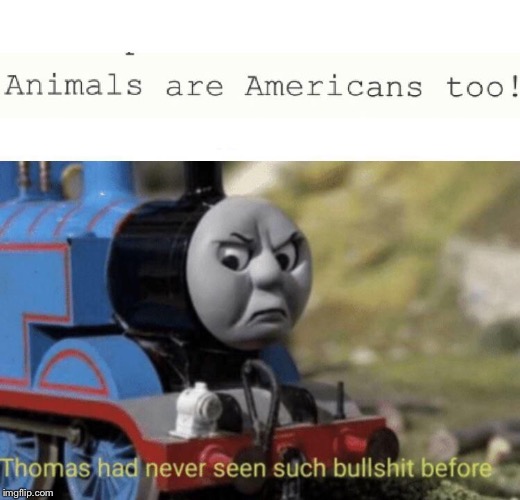 Dang you iCivics!!! | image tagged in thomas the tank engine,animals,america | made w/ Imgflip meme maker