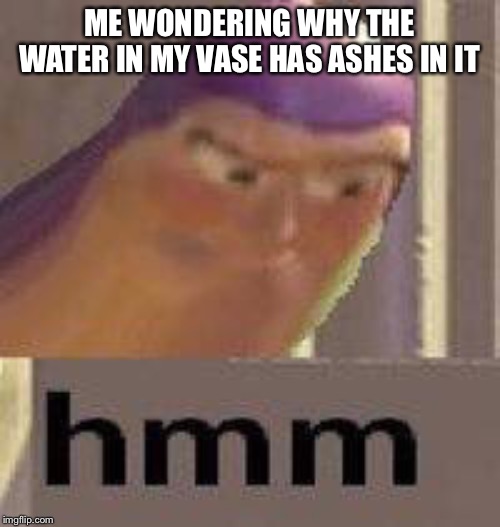 Buzz Lightyear Hmm | ME WONDERING WHY THE WATER IN MY VASE HAS ASHES IN IT | image tagged in buzz lightyear hmm | made w/ Imgflip meme maker