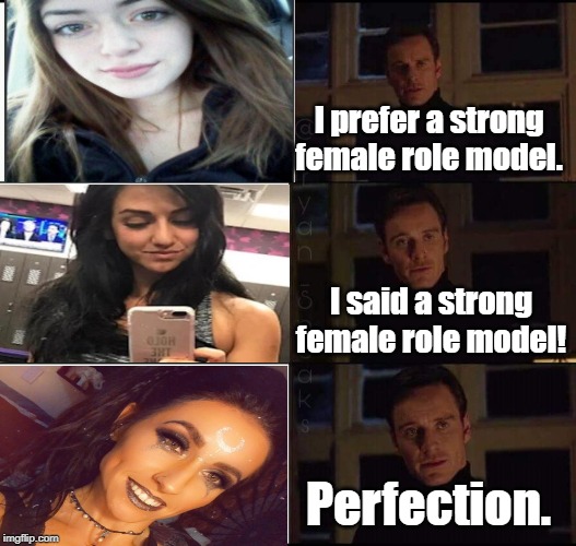 Magneto Meme | I prefer a strong female role model. I said a strong female role model! Perfection. | image tagged in show me the real | made w/ Imgflip meme maker