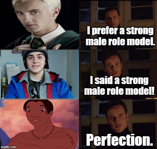 Magneto Meme | I prefer a strong male role model. I said a strong male role model! Perfection. | image tagged in show me the real,magneto | made w/ Imgflip meme maker