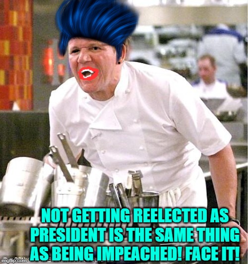 Chef Gordon Ramsay | NOT GETTING REELECTED AS PRESIDENT IS THE SAME THING AS BEING IMPEACHED! FACE IT! | image tagged in memes,chef gordon ramsay | made w/ Imgflip meme maker