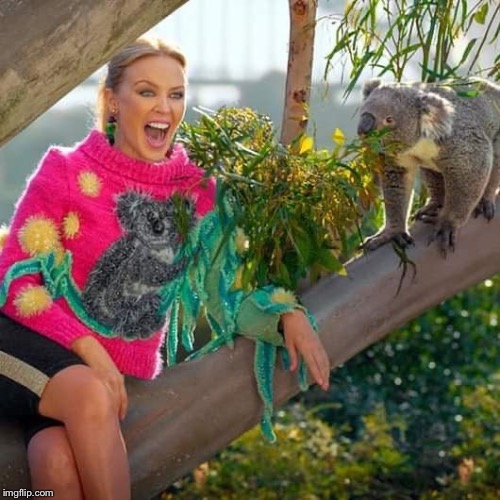 Kylie at Sydney Zoo hangin’ with koalas. | image tagged in kylie koala,zoo,koala,animals,celebrity,lol | made w/ Imgflip meme maker