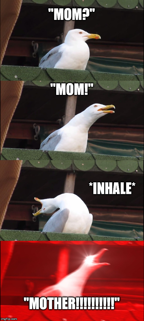 Inhaling Seagull | "MOM?"; "MOM!"; *INHALE*; "MOTHER!!!!!!!!!!" | image tagged in memes,inhaling seagull | made w/ Imgflip meme maker