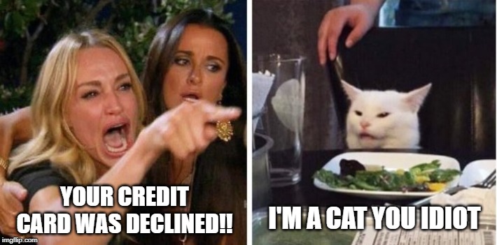 I'M A CAT YOU IDIOT; YOUR CREDIT CARD WAS DECLINED!! | image tagged in smudge the cat | made w/ Imgflip meme maker