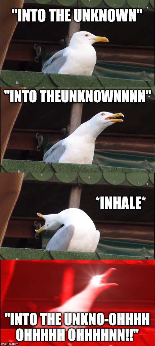 Inhaling Seagull Meme | "INTO THE UNKNOWN"; "INTO THEUNKNOWNNNN"; *INHALE*; "INTO THE UNKNO-OHHHH OHHHHH OHHHHNN!!" | image tagged in memes,inhaling seagull | made w/ Imgflip meme maker
