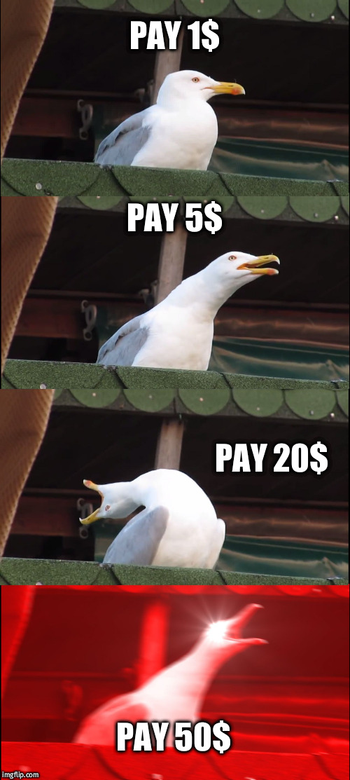 Inhaling Seagull Meme | PAY 1$; PAY 5$; PAY 20$; PAY 50$ | image tagged in memes,inhaling seagull | made w/ Imgflip meme maker
