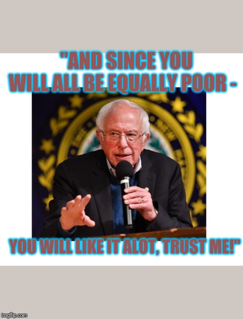 Don't buy it, Bernie Bros | "AND SINCE YOU WILL ALL BE EQUALLY POOR -; YOU WILL LIKE IT ALOT, TRUST ME!" | image tagged in wtf bernie sanders | made w/ Imgflip meme maker