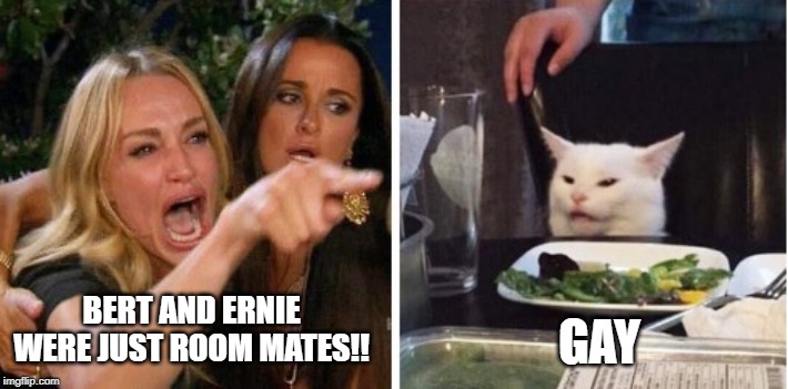 GAY; BERT AND ERNIE WERE JUST ROOM MATES!! | image tagged in smudge the cat | made w/ Imgflip meme maker
