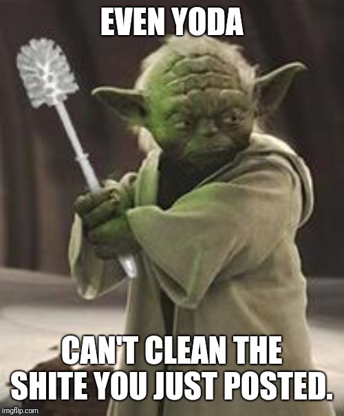 Brush yoda | EVEN YODA; CAN'T CLEAN THE SHITE YOU JUST POSTED. | image tagged in brush yoda | made w/ Imgflip meme maker