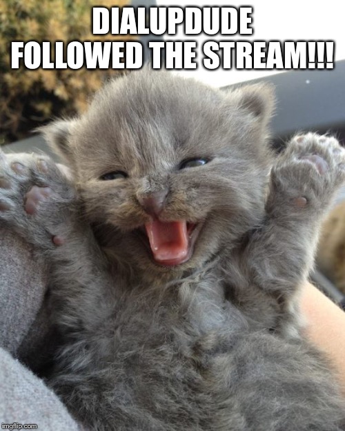 Yay | DIALUPDUDE FOLLOWED THE STREAM!!! | image tagged in yay kitty | made w/ Imgflip meme maker