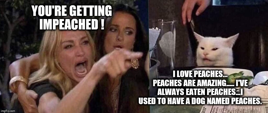 woman yelling at cat | YOU'RE GETTING IMPEACHED ! I LOVE PEACHES... PEACHES ARE AMAZING..... I'VE ALWAYS EATEN PEACHES...I USED TO HAVE A DOG NAMED PEACHES. | image tagged in woman yelling at cat | made w/ Imgflip meme maker