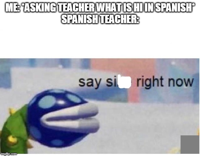 say sike right now | ME: *ASKING TEACHER WHAT IS HI IN SPANISH*
SPANISH TEACHER: | image tagged in say sike right now | made w/ Imgflip meme maker