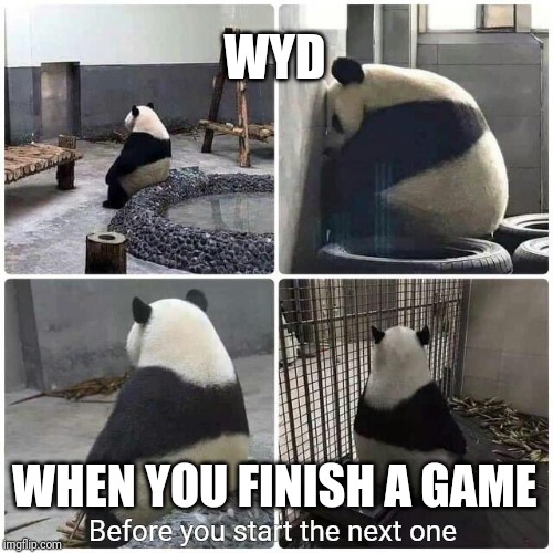 WYD; WHEN YOU FINISH A GAME; Before you start the next one | image tagged in gaming,feels,panda | made w/ Imgflip meme maker