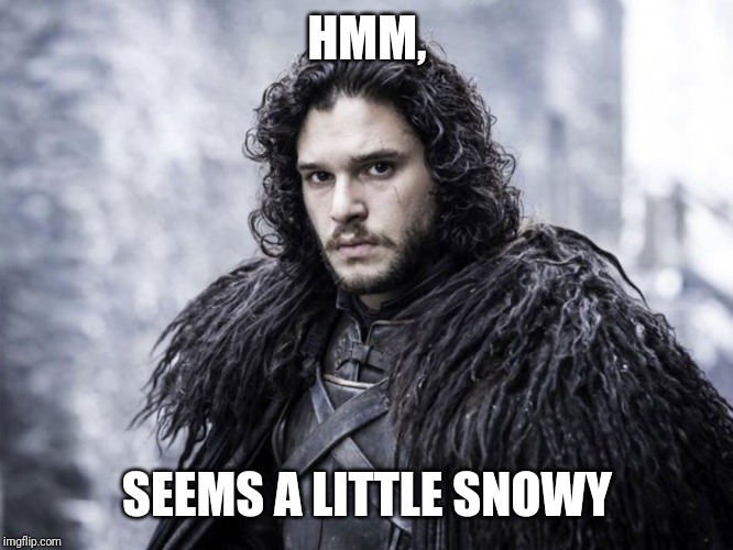 jon snow | HMM, SEEMS A LITTLE SNOWY | image tagged in jon snow | made w/ Imgflip meme maker