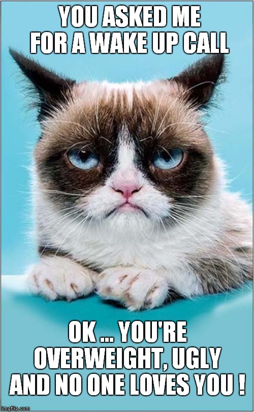 Grumpys Wake Up Call |  YOU ASKED ME FOR A WAKE UP CALL; OK ... YOU'RE OVERWEIGHT, UGLY AND NO ONE LOVES YOU ! | image tagged in fun,grumpy cat,reality check | made w/ Imgflip meme maker