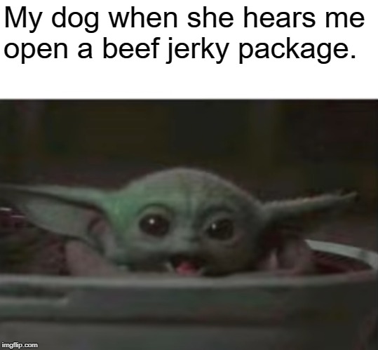 Baby Yoda smiling | My dog when she hears me open a beef jerky package. | image tagged in baby yoda smiling | made w/ Imgflip meme maker