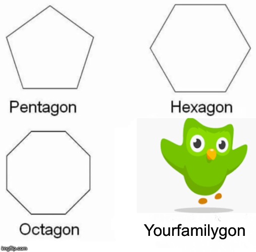 When you forget your Spanish lessons | Yourfamilygon | image tagged in memes,pentagon hexagon octagon,duolingo bird | made w/ Imgflip meme maker