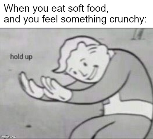 Fallout Hold Up | When you eat soft food, and you feel something crunchy: | image tagged in fallout hold up | made w/ Imgflip meme maker