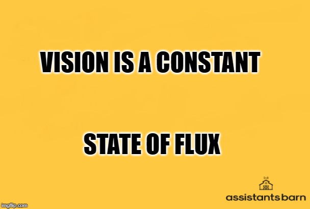 Vision is a constant state of flux | VISION IS A CONSTANT; STATE OF FLUX | image tagged in vision | made w/ Imgflip meme maker