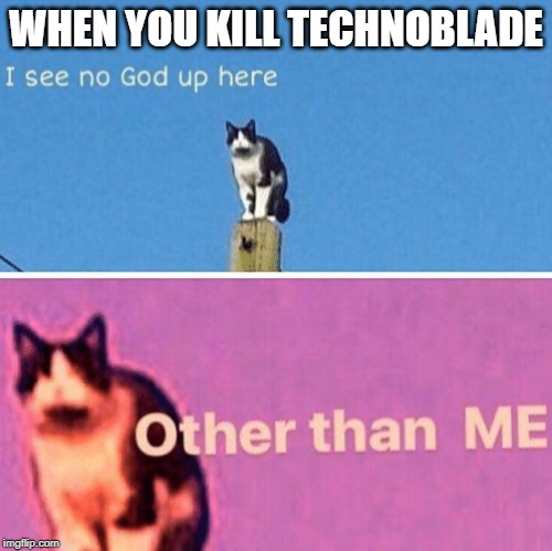 Hail pole cat | WHEN YOU KILL TECHNOBLADE | image tagged in hail pole cat | made w/ Imgflip meme maker