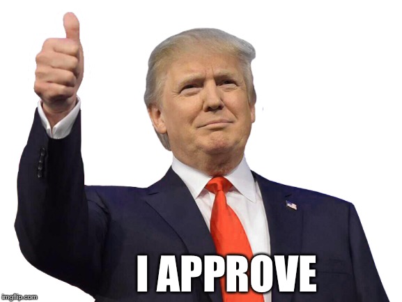 I APPROVE | made w/ Imgflip meme maker