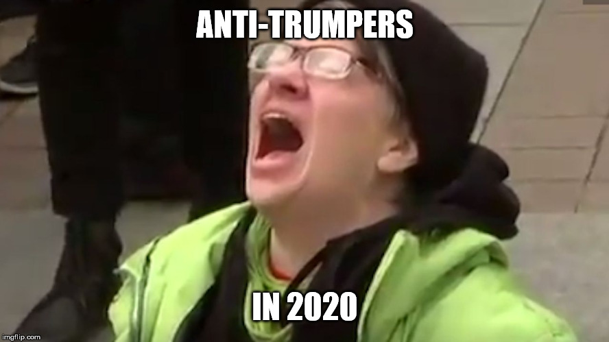 Screaming Liberal  | ANTI-TRUMPERS IN 2020 | image tagged in screaming liberal | made w/ Imgflip meme maker