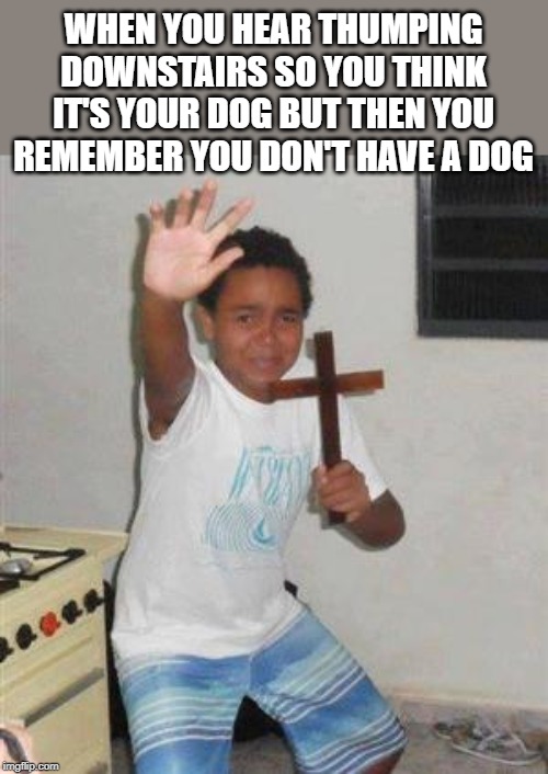 Wait a second... | WHEN YOU HEAR THUMPING DOWNSTAIRS SO YOU THINK IT'S YOUR DOG BUT THEN YOU REMEMBER YOU DON'T HAVE A DOG | image tagged in scared kid,memes,dog,cross,demons,fallout hold up | made w/ Imgflip meme maker