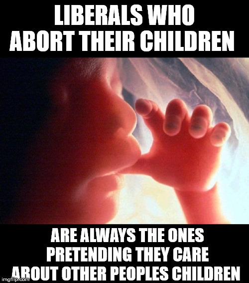Abortion | LIBERALS WHO ABORT THEIR CHILDREN ARE ALWAYS THE ONES PRETENDING THEY CARE ABOUT OTHER PEOPLES CHILDREN | image tagged in abortion | made w/ Imgflip meme maker