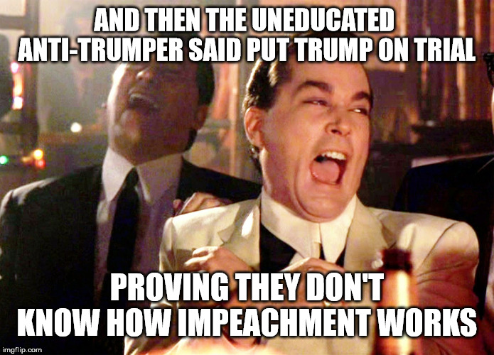 Good Fellas Hilarious Meme | AND THEN THE UNEDUCATED  ANTI-TRUMPER SAID PUT TRUMP ON TRIAL PROVING THEY DON'T KNOW HOW IMPEACHMENT WORKS | image tagged in memes,good fellas hilarious | made w/ Imgflip meme maker