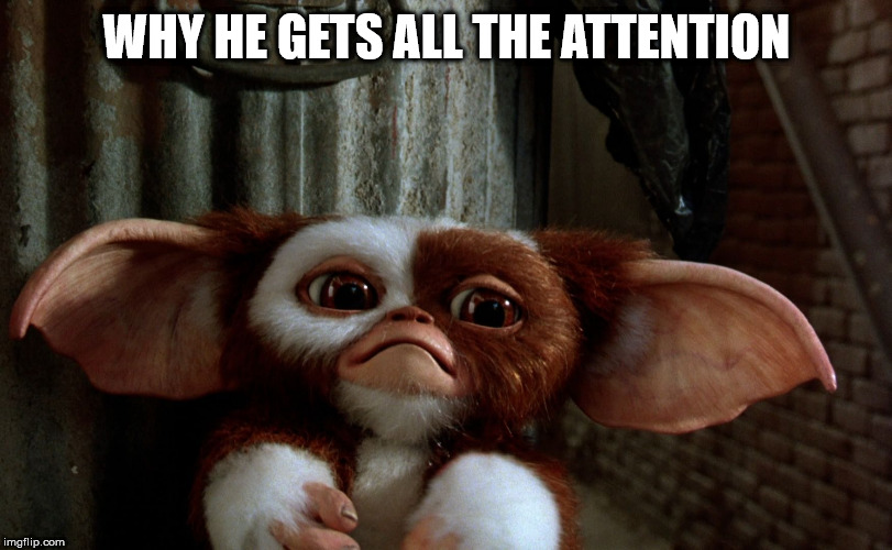 Sad Gizmo | WHY HE GETS ALL THE ATTENTION | image tagged in sad gizmo | made w/ Imgflip meme maker