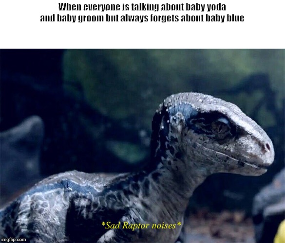 Blue | When everyone is talking about baby yoda and baby groom but always forgets about baby blue; *Sad Raptor noises* | image tagged in jurassic world | made w/ Imgflip meme maker