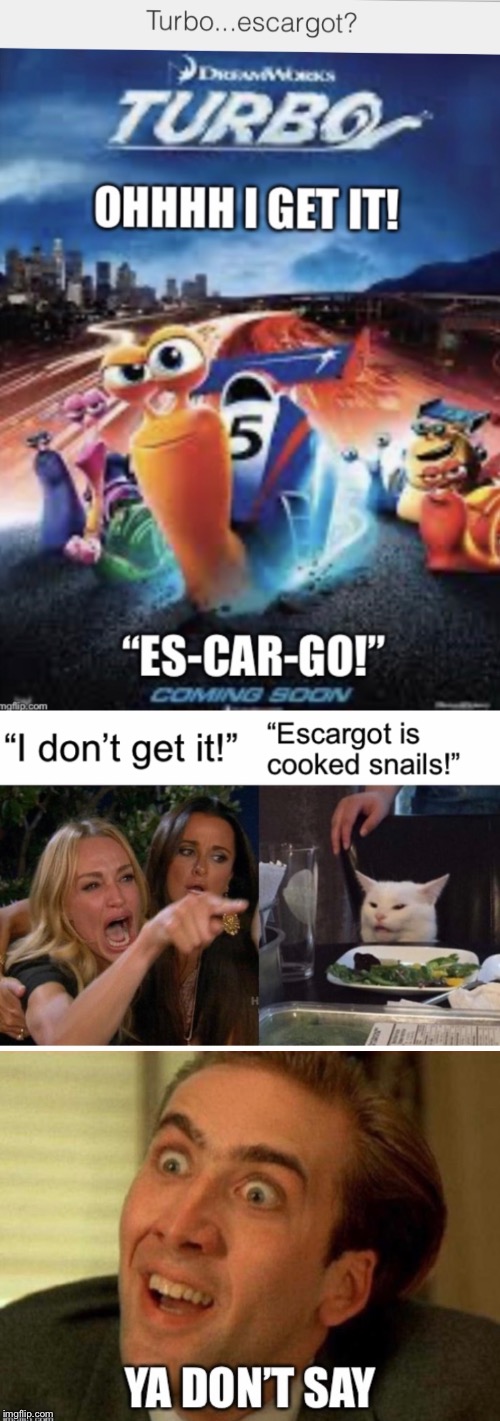 Oh now I get it! | image tagged in turbo,escargot,woman yelling at cat,ya dont say | made w/ Imgflip meme maker