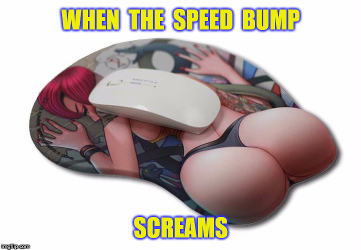 WHEN  THE  SPEED  BUMP SCREAMS | made w/ Imgflip meme maker