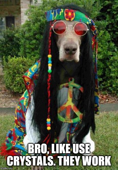 Hippie dog  | BRO, LIKE USE CRYSTALS. THEY WORK | image tagged in hippie dog | made w/ Imgflip meme maker