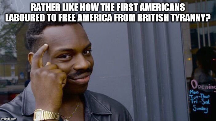 Roll Safe Think About It Meme | RATHER LIKE HOW THE FIRST AMERICANS LABOURED TO FREE AMERICA FROM BRITISH TYRANNY? | image tagged in memes,roll safe think about it | made w/ Imgflip meme maker