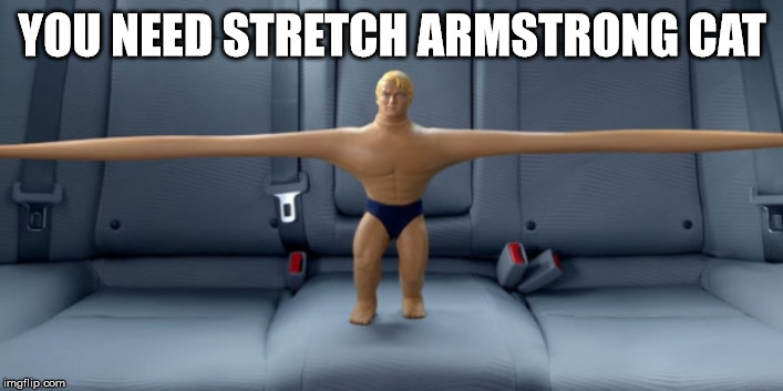 Stretch armstrong | YOU NEED STRETCH ARMSTRONG CAT | image tagged in stretch armstrong | made w/ Imgflip meme maker