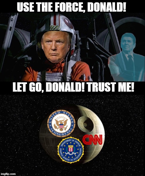 President Reagan Gives President Trump Some Advice From The Other Side | USE THE FORCE, DONALD! LET GO, DONALD! TRUST ME! | image tagged in maga,ronald reagan,politics,democrats,republicans | made w/ Imgflip meme maker