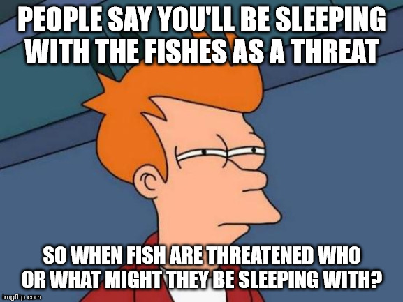 Futurama Fry | PEOPLE SAY YOU'LL BE SLEEPING WITH THE FISHES AS A THREAT; SO WHEN FISH ARE THREATENED WHO OR WHAT MIGHT THEY BE SLEEPING WITH? | image tagged in memes,futurama fry,fish,threats | made w/ Imgflip meme maker