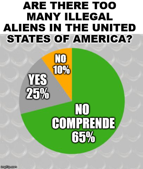 Fake poll meant for humor leftists, get a sense of humor. | ARE THERE TOO MANY ILLEGAL ALIENS IN THE UNITED STATES OF AMERICA? NO 
10%; YES
25%; NO 
COMPRENDE
65% | image tagged in pie chart,politics,illegal aliens | made w/ Imgflip meme maker