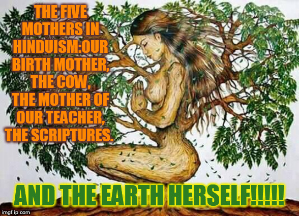The five Mothers In Hinduism | THE FIVE MOTHERS IN HINDUISM:OUR BIRTH MOTHER, THE COW, THE MOTHER OF OUR TEACHER, THE SCRIPTURES. AND THE EARTH HERSELF!!!!! | image tagged in mother nature | made w/ Imgflip meme maker
