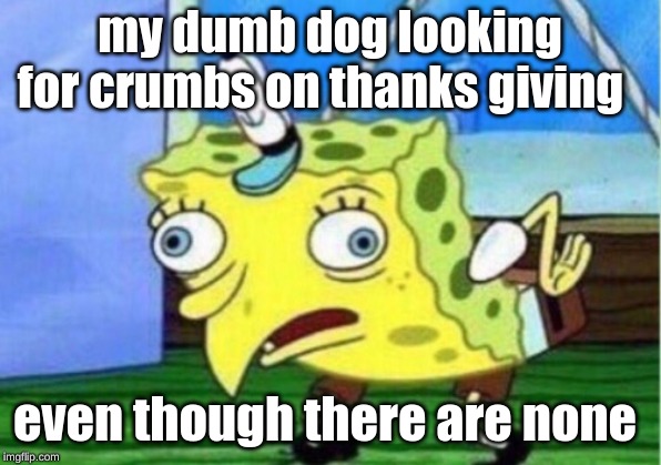 Mocking Spongebob Meme | my dumb dog looking for crumbs on thanks giving; even though there are none | image tagged in memes,mocking spongebob | made w/ Imgflip meme maker