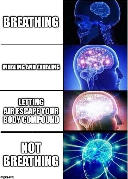 Expanding Brain Meme | BREATHING; INHALING AND EXHALING; LETTING AIR ESCAPE YOUR BODY COMPOUND; NOT BREATHING | image tagged in memes,expanding brain | made w/ Imgflip meme maker