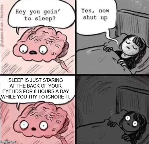 waking up brain | SLEEP IS JUST STARING AT THE BACK OF YOUR EYELIDS FOR 8 HOURS A DAY WHILE YOU TRY TO IGNORE IT. | image tagged in waking up brain,sleep,sleeping,eyes,ignorance | made w/ Imgflip meme maker