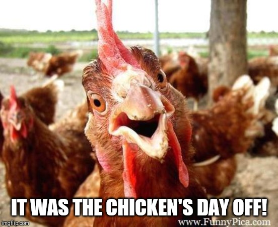 Chicken | IT WAS THE CHICKEN'S DAY OFF! | image tagged in chicken | made w/ Imgflip meme maker