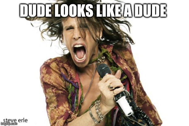 Steve Tyler Aerosmith | DUDE LOOKS LIKE A DUDE | image tagged in steve tyler aerosmith | made w/ Imgflip meme maker