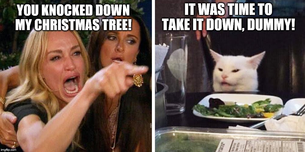 Smudge the cat | IT WAS TIME TO TAKE IT DOWN, DUMMY! YOU KNOCKED DOWN MY CHRISTMAS TREE! | image tagged in smudge the cat | made w/ Imgflip meme maker