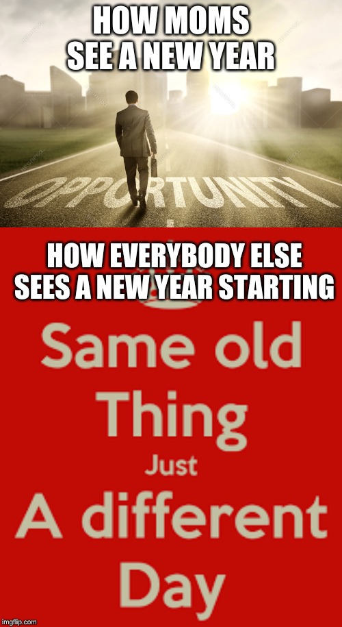 HOW MOMS SEE A NEW YEAR; HOW EVERYBODY ELSE SEES A NEW YEAR STARTING | image tagged in memes,same,moms,happy new year,2020 | made w/ Imgflip meme maker